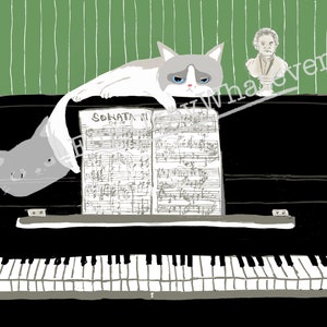 May include: A black grand piano with a sheet of music open on the keys. The music is titled "Sonata III Op. 58". A gray and white cat is sitting on the piano, looking grumpy. A small statue of a man is on the piano behind the cat.