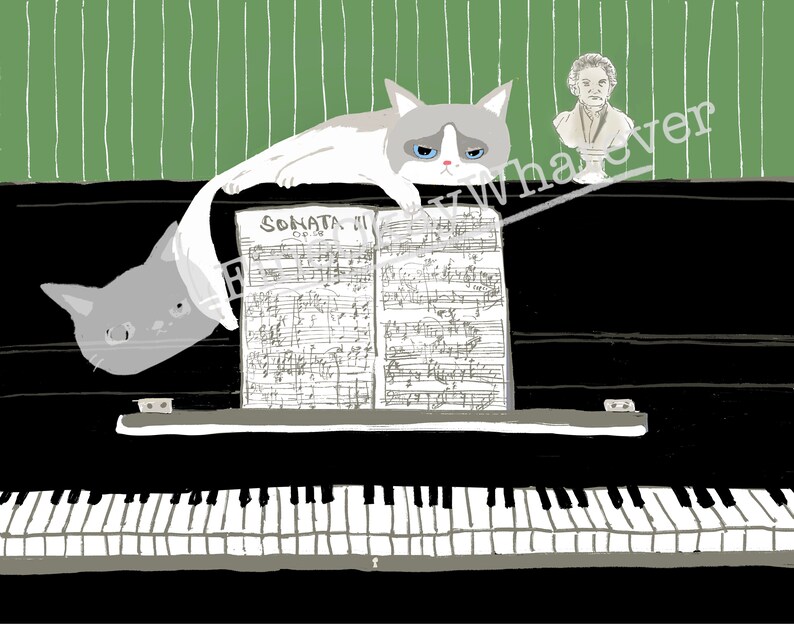 May include: A black grand piano with a sheet of music open on the keys. The music is titled "Sonata III Op. 58". A gray and white cat is sitting on the piano, looking grumpy. A small statue of a man is on the piano behind the cat.