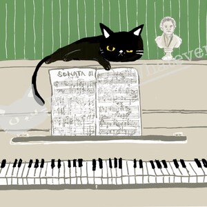 May include: A black cat sits on a white piano with sheet music that reads "SONATA III OP.28". A bust of a person is on the wall behind the cat.