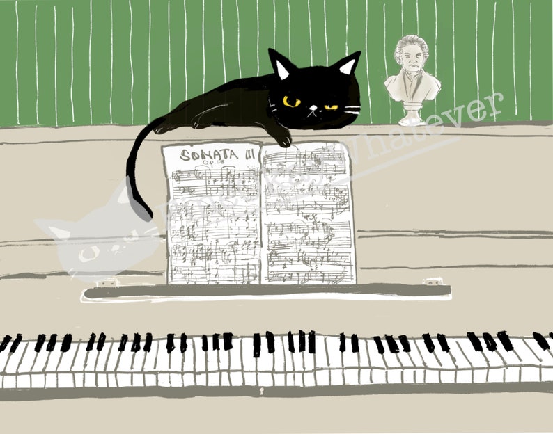 May include: A black cat sits on a white piano with sheet music that reads "SONATA III OP.28". A bust of a person is on the wall behind the cat.