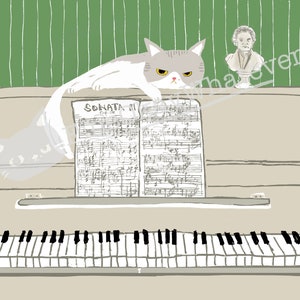 May include: A white and gray cat sits on a piano with sheet music that reads "SONATA III Op. 58". A bust of a man is on the wall behind the cat.