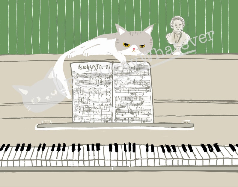 May include: A white and gray cat sits on a piano with sheet music that reads "SONATA III Op. 58". A bust of a man is on the wall behind the cat.