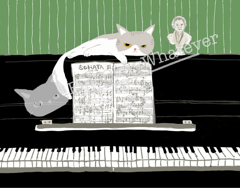 May include: A black and white illustration of a cat sitting on a piano with sheet music that says "SONATA III" and a bust of a person above the piano. The text "Whatever" is written diagonally across the image.