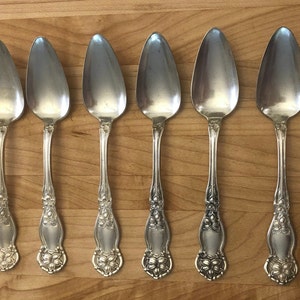 Wm Rogers & Son Orange Blossom Pattern 6&quot; Fruit Spoons, Lot of 6, 1910