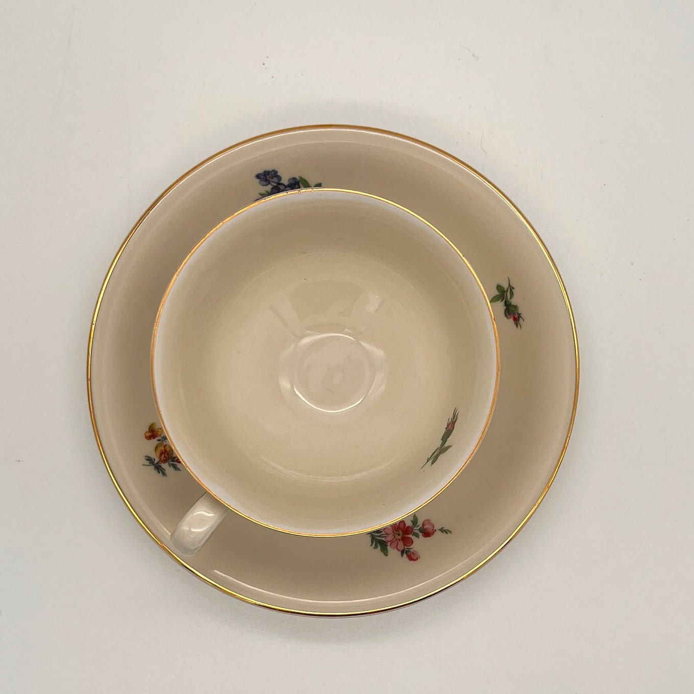 Vintage Hertel Jacob Rehau-bavaria German China Rose Flower Tea Cup and ...