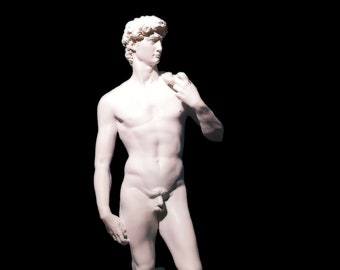 David by Michelangelo. Exact replica