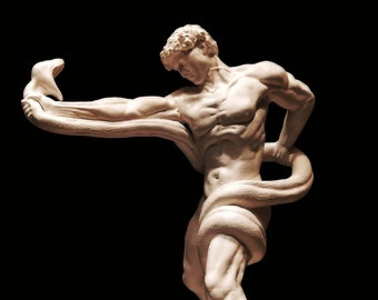 Athlete Wrestling a Python 45cm. Exact reply. High quality Resin