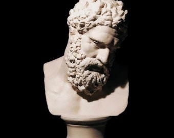 Puede incluir: Busto de yeso blanco de un hombre con barba y una corona en la cabeza. El busto está sobre un pedestal blanco.
