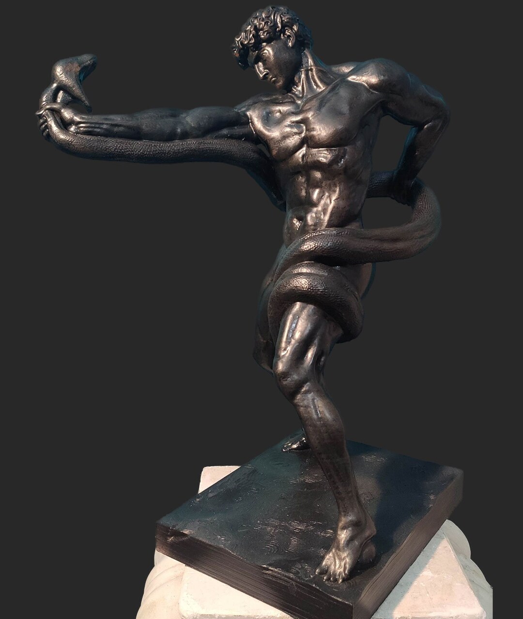 Athlete Wrestling a Python 45cm. Exact Reply. Original Finish - Etsy