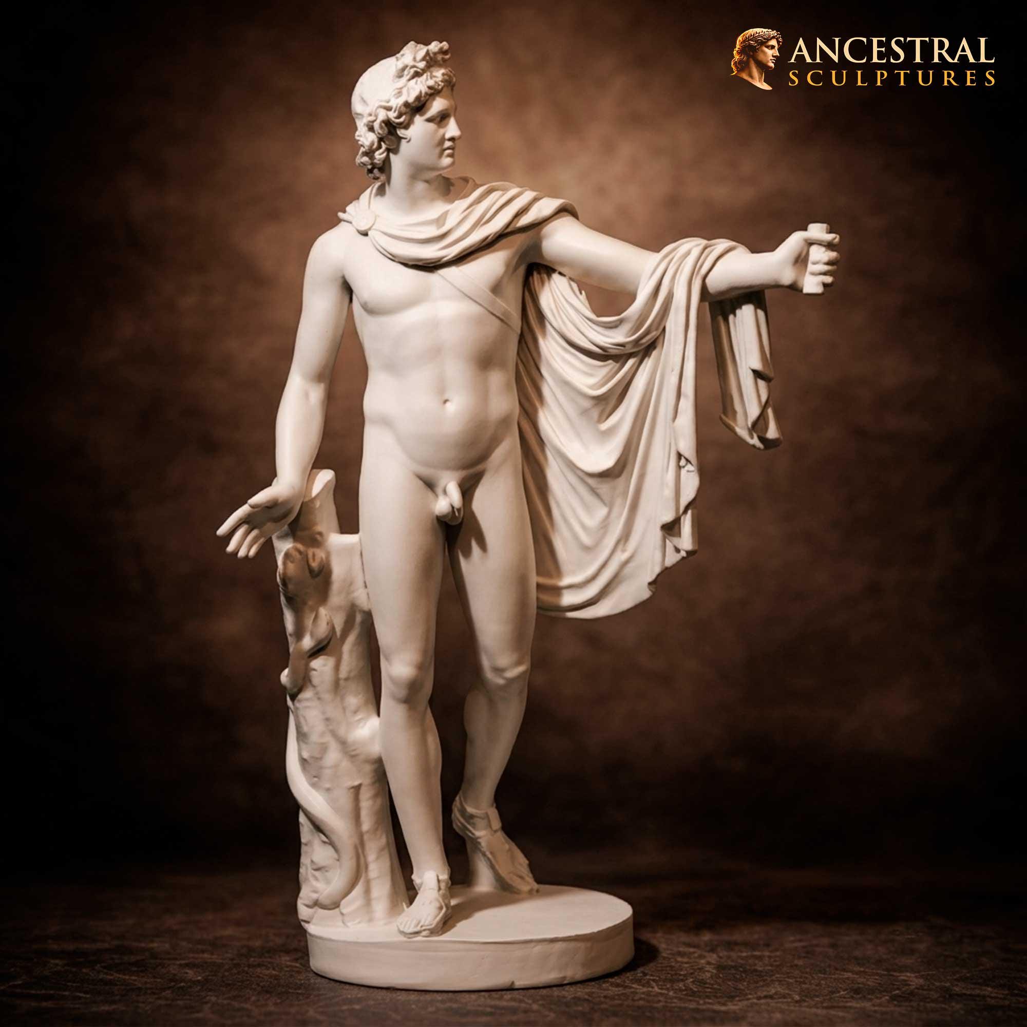 Apollo belvedere - Etsy 日本