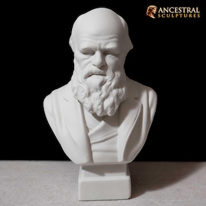 Puede incluir: Un busto de escultura en blanco mate de Charles Darwin con una barba detallada, frente fruncida y una chaqueta con cuello. La escultura está montada sobre una base rectangular. El texto Ancestral Sculptures es visible en la esquina superior derecha.