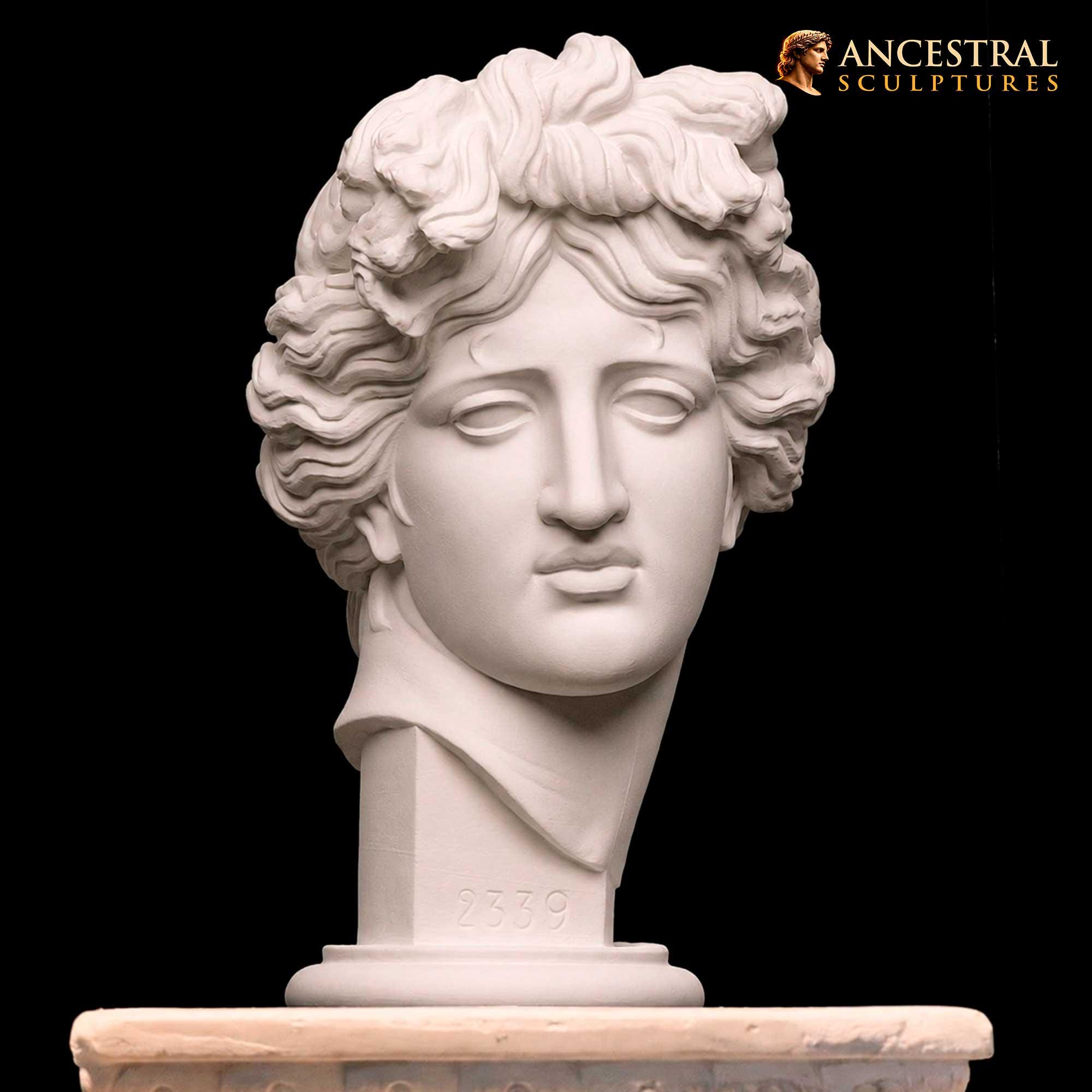 コンスタンティン　1/6カスタムヘッド　Sculptor.luo彫刻 Apollo Giustiniani Bust Sculpture, Greek God Apollo Statue