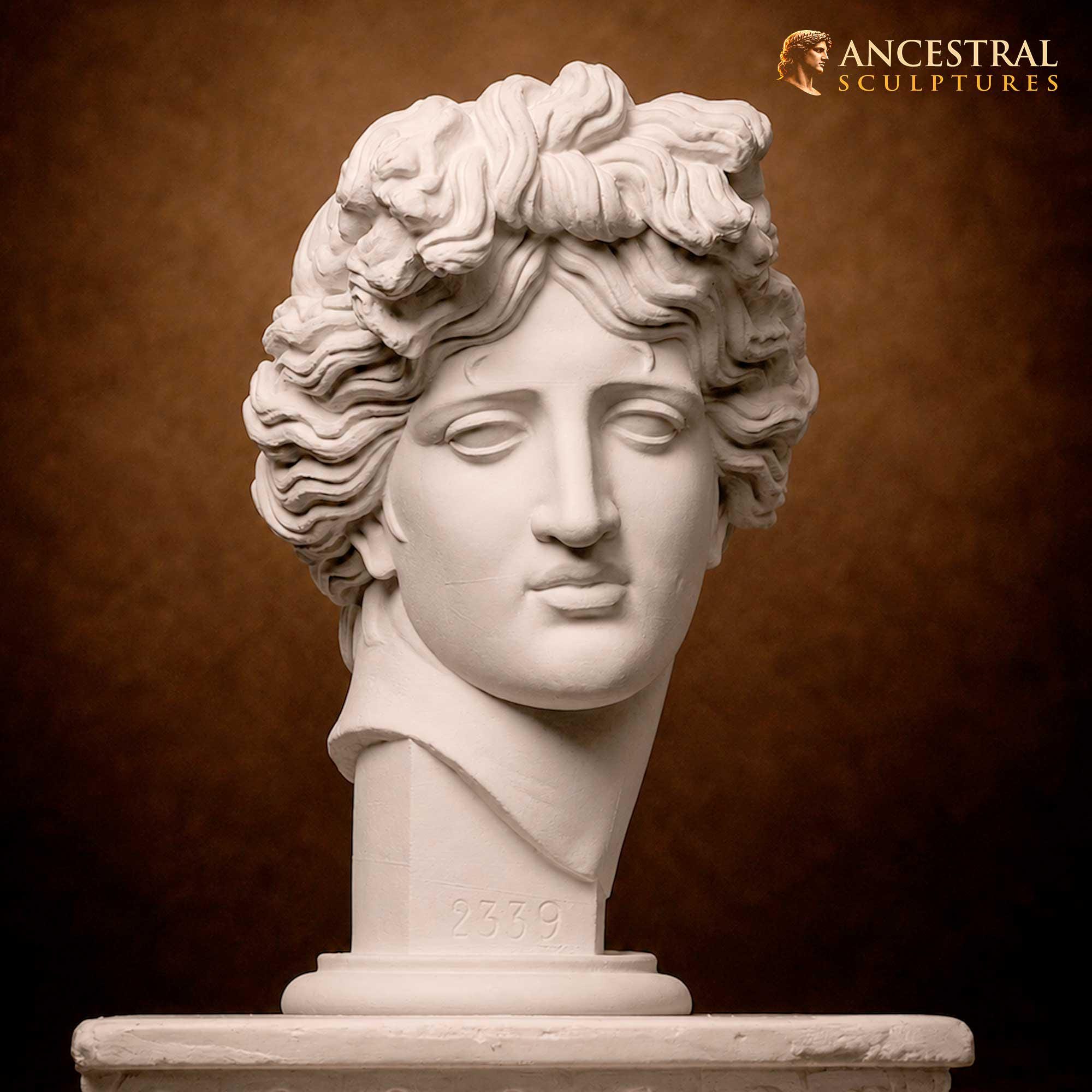 Apollo Giustiniani Bust Sculpture, Greek God Apollo Statue