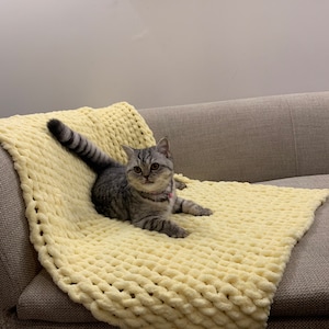 Sofa slipcover Pet Furniture Protector, Pet Sofa Protector, Pet Furniture Cover, Pet Sofa Cover, Sofa Cover for Dogs, Sofa Topper for Pets