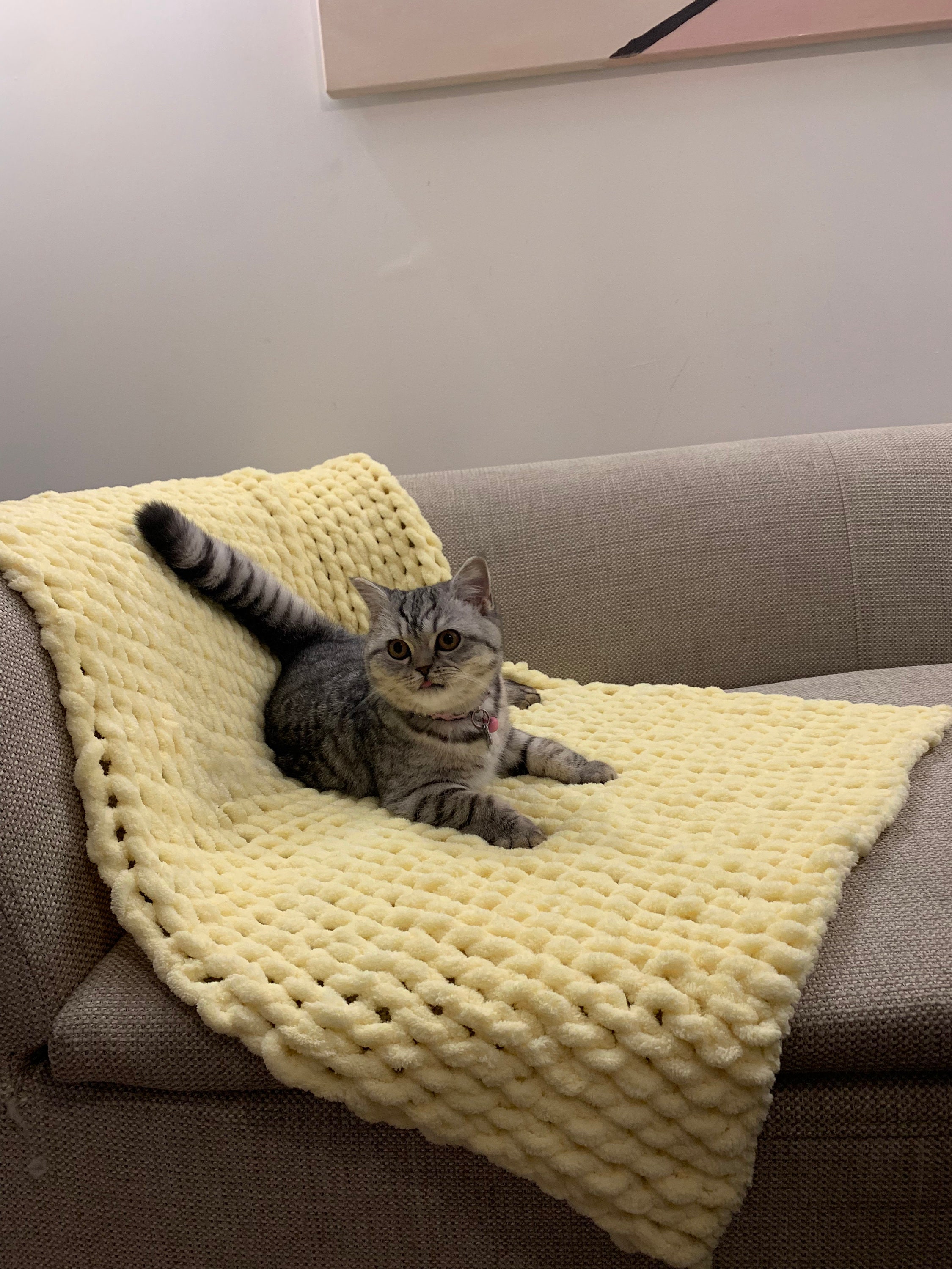 Sofa slipcover Pet Furniture Protector, Pet Sofa Protector, Pet Furniture Cover, Pet Sofa Cover, Sofa Cover for Dogs, Sofa Topper for Pets