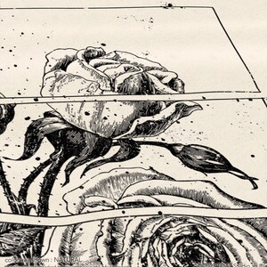 May include: Black and white illustration of roses with thorns and leaves. The artwork is in a comic book style, with ink splatters and a natural colorway. The text "NATURAL" is visible at the bottom.