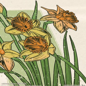 May include: A vintage-style illustration of a bouquet of yellow daffodils with orange centers. The flowers are drawn in a detailed, realistic style with a textured background.