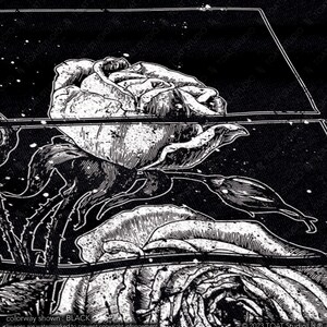 May include: Black and white illustration of a rose with detailed shading and a vintage aesthetic. The image is divided into sections with a geometric design. The text "colorway shown: BLACK" is visible. The image is watermarked.