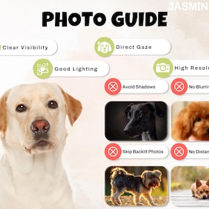 May include: A photo guide with the text "PHOTO GUIDE" and "JASMINE ART" at the top. The guide includes a Labrador Retriever and examples of good and bad photography techniques for pet portraits, such as clear visibility and direct gaze.