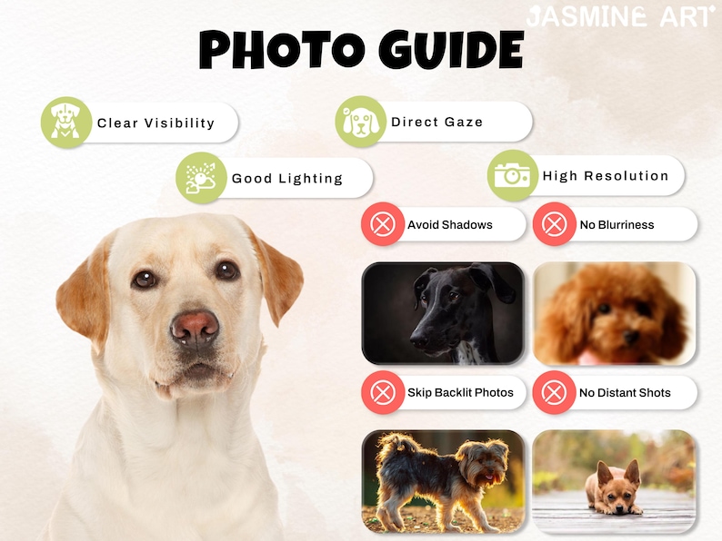 May include: A photo guide with the text "PHOTO GUIDE" and "JASMINE ART" at the top. The guide includes a Labrador Retriever and examples of good and bad photography techniques for pet portraits, such as clear visibility and direct gaze.