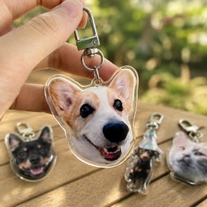 May include: A clear acrylic keychain featuring a printed portrait of a tan and white Corgi dog with a smiling expression. The keychain includes a silver-toned metal lobster clasp and a split ring for attachment to keys or bags.