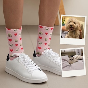 May include: Pink socks with a pattern of cat and dog faces and red hearts. The socks are worn with white sneakers with black accents on the heels. Two framed photos of a dog and a cat are in the background.