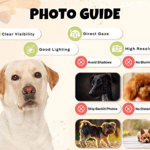 Pode incluir: Um "GUIA FOTOGR&Aacute;FICO" com dicas para tirar boas fotos. Apresenta um Labrador Retriever e exemplos de fotos boas e ruins. O texto inclui "Visibilidade clara", "Olhar direto", "Boa ilumina&ccedil;&atilde;o" e "Alta resolu&ccedil;&atilde;o".