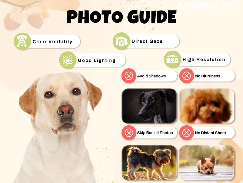 Pode incluir: Um "GUIA FOTOGR&Aacute;FICO" com dicas para tirar boas fotos. Apresenta um Labrador Retriever e exemplos de fotos boas e ruins. O texto inclui "Visibilidade clara", "Olhar direto", "Boa ilumina&ccedil;&atilde;o" e "Alta resolu&ccedil;&atilde;o".