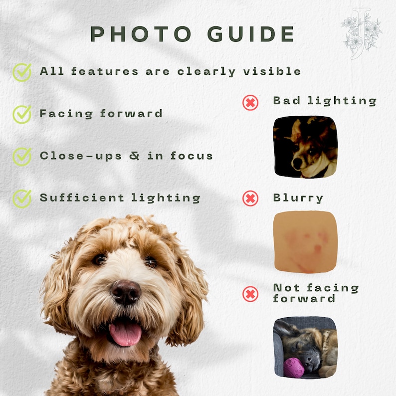 May include: A photo guide for taking good pictures of dogs. The guide includes tips on lighting, focus, and composition. The image shows a dog with good lighting and focus, as well as a dog with bad lighting and a blurry image.