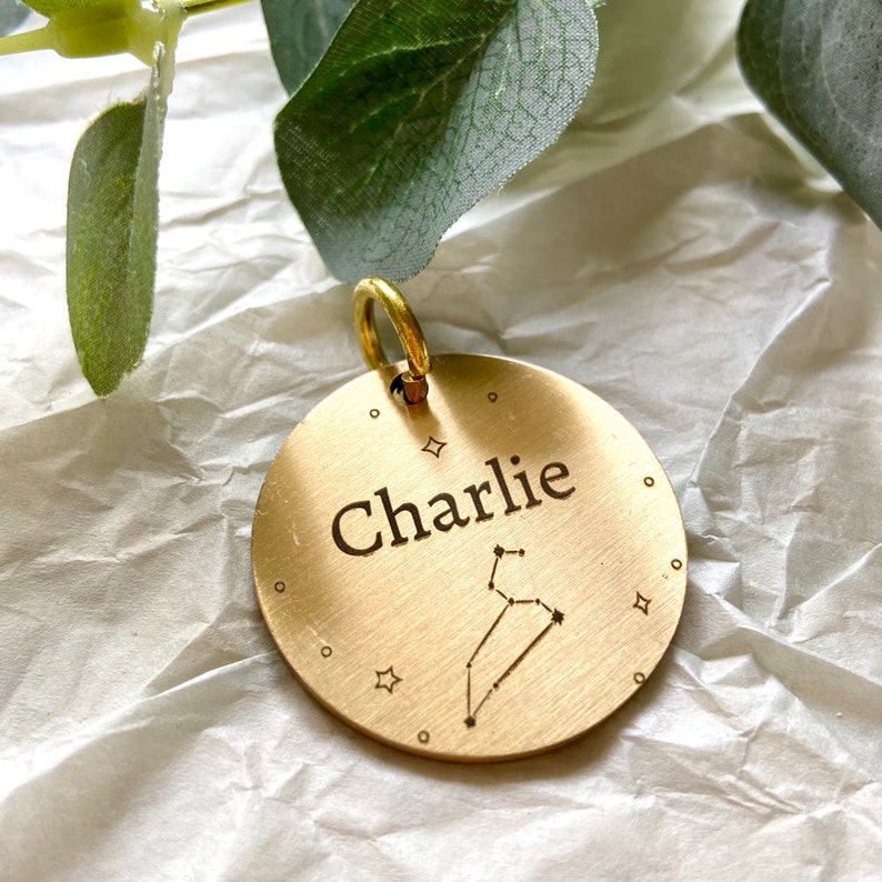 Custom Engraved Copper Pet Tags, Star Sign Dog Tags, Dog/ Cat Name Tags Personalized, Funny Dog Tag, Personalized Circle Pet Id Tag image 3