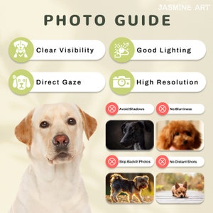 Op de afbeelding: Een fotogids voor het maken van goede foto's van honden. De gids bevat tips over duidelijke zichtbaarheid, goede belichting, directe blik, hoge resolutie, het vermijden van schaduwen, geen onscherpte, het overslaan van tegenlichtfoto's en geen foto's vanuit de verte.