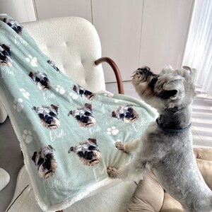 May include: A soft, green and white fleece blanket with a repeating pattern of paw prints and a dog's face. The dog's name, "Didi", is written on the blanket. A small, gray dog is standing on the blanket.