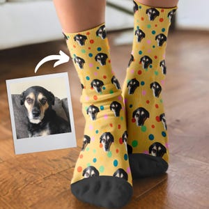 May include: A pair of yellow socks with a repeating pattern of a dog's face and colorful polka dots. The socks have black heels and toes. A photo of the dog is shown in a polaroid-style frame.