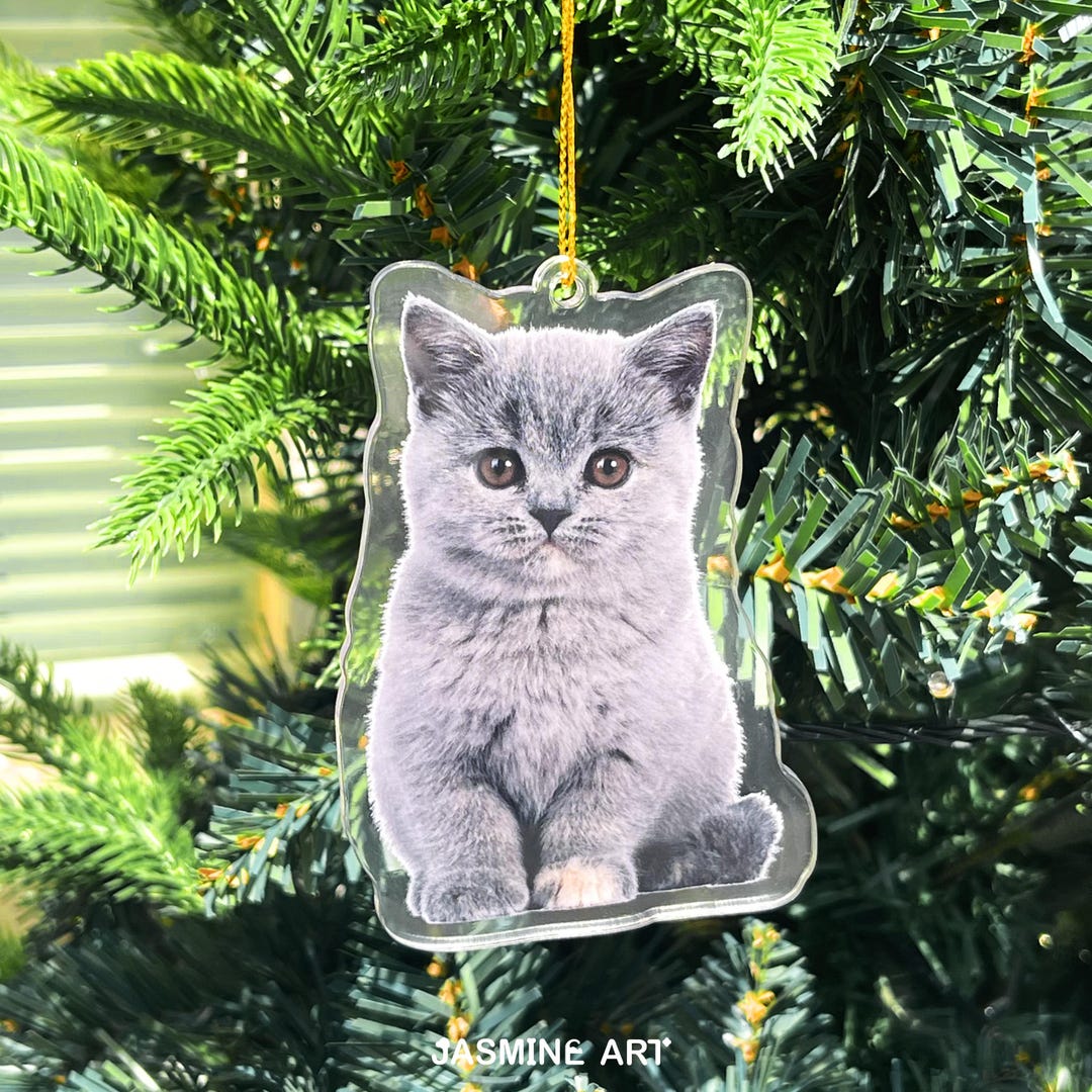Personalized Pet Ornament From Photos, Custom Dog Ornament, Cat ...