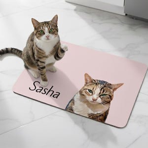May include: A pink rectangular mat with a cat portrait and the name "Sasha" in black. A live tabby cat with green eyes stands on the mat, with its paw raised. The mat features a second cat portrait.