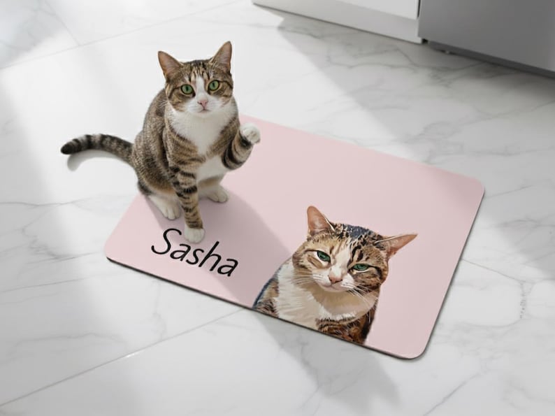May include: A pink rectangular mat with a cat portrait and the name "Sasha" in black. A live tabby cat with green eyes stands on the mat, with its paw raised. The mat features a second cat portrait.