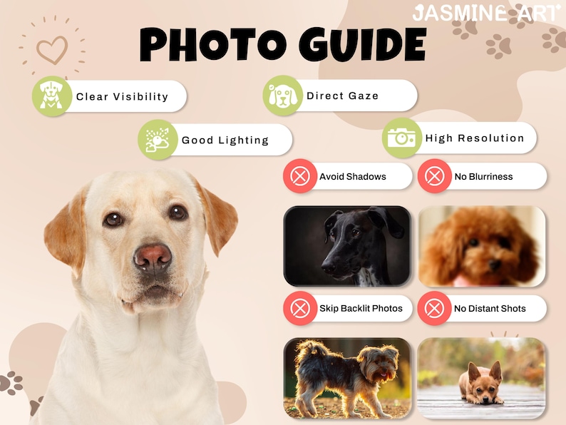 May include: A photo guide with the text "PHOTO GUIDE" and "JASMINE ART" at the top. The guide includes tips for clear visibility, direct gaze, good lighting, high resolution, avoiding shadows, no blurriness, skipping backlit photos, and no distant shots. A Labrador Retriever is in the image.