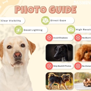 May include: A photo guide for taking good pictures of dogs. The guide includes tips on clear visibility, good lighting, direct gaze, avoiding shadows, high resolution, no blurriness, skipping backlit photos, and no distant shots.