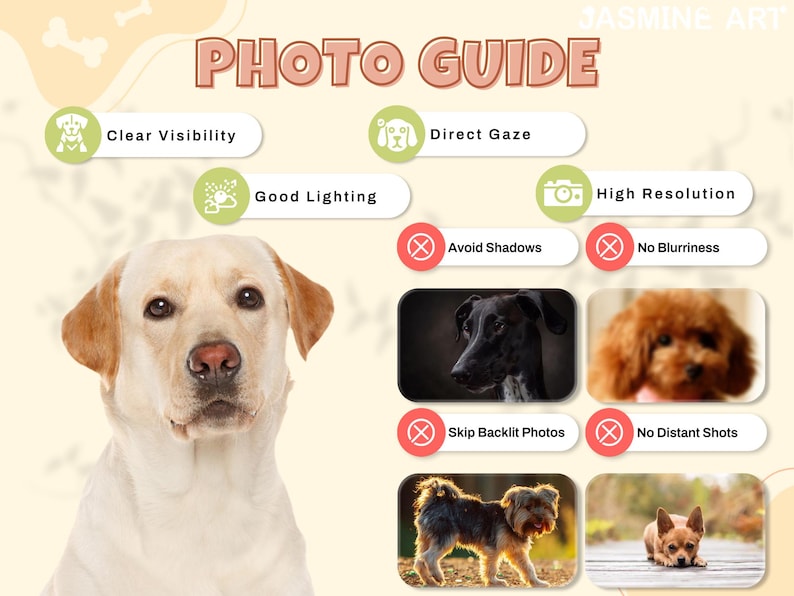 May include: A photo guide for taking good pictures of dogs. The guide includes tips on clear visibility, good lighting, direct gaze, avoiding shadows, high resolution, no blurriness, skipping backlit photos, and no distant shots.