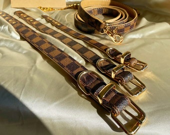 designer collar