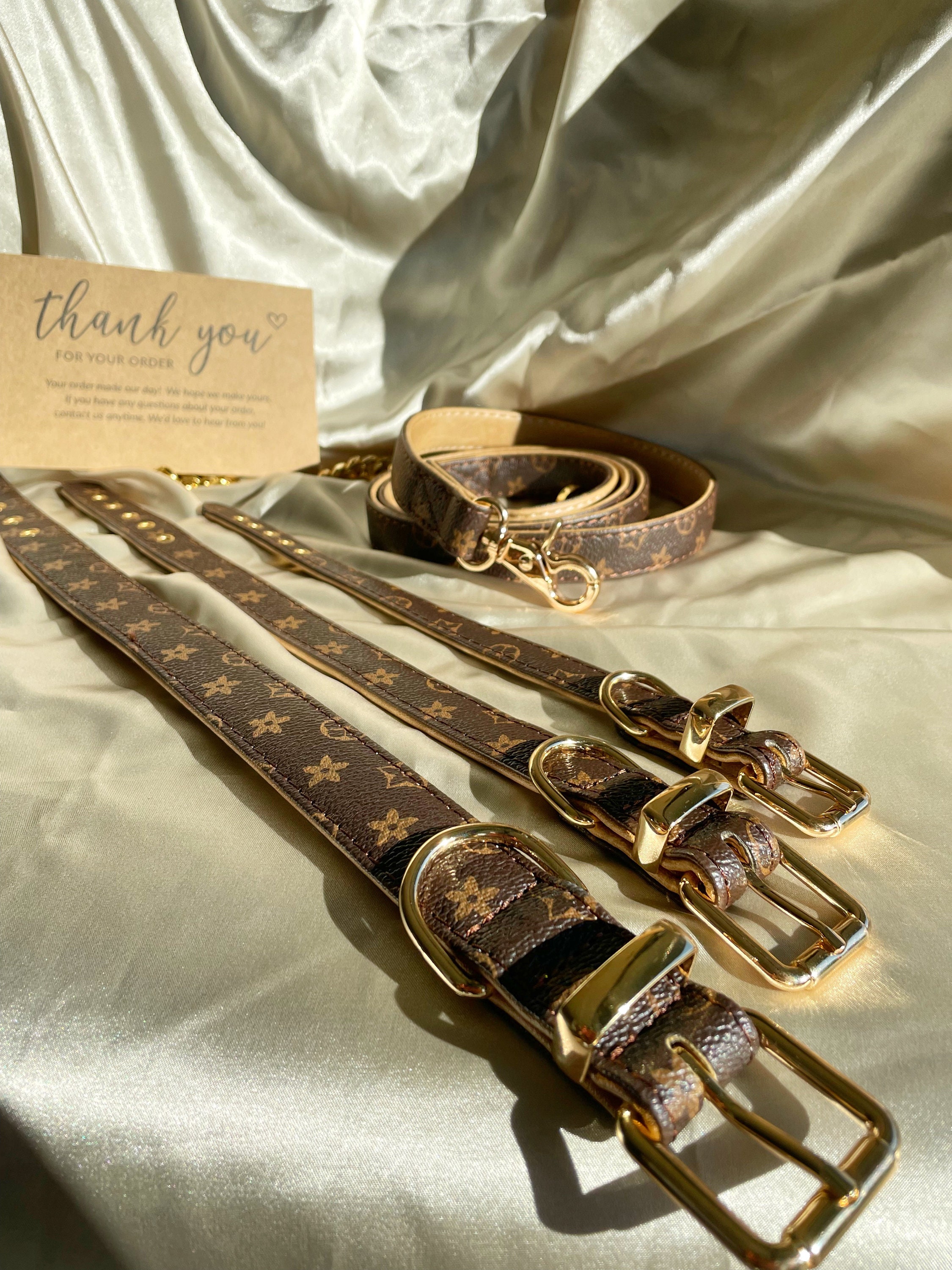 Louis Vuitton Dog Collar and Leash 