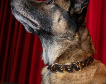 Brown Star Luxury Collar (Espresso Elegance Collar)
