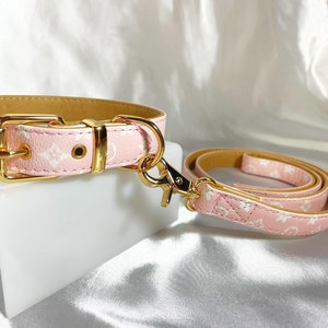 gucci collar dog