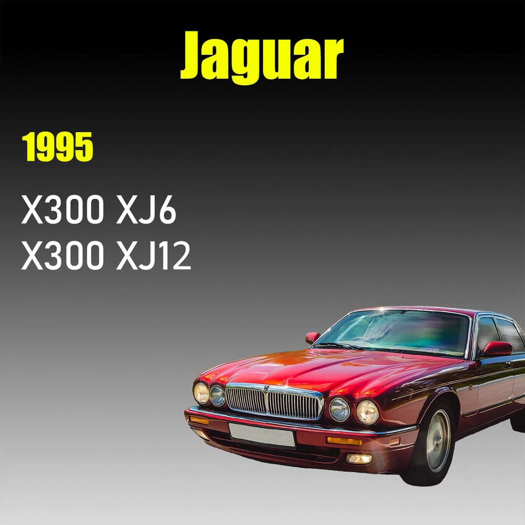 il_1080xN.5879683396_6mxf.jpg