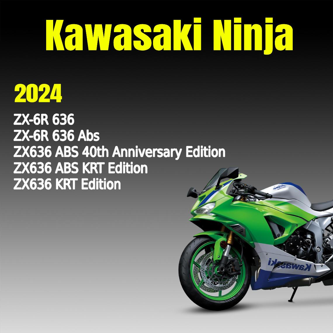 Buy Ninja Zx6r Online In India - Etsy India
