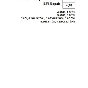 May include: Workshop manual for EFI repair for Chevrolet vehicles with 4.3, 5.0, 5.7, and 8.1 liter engines. The manual is labeled with the letter C and the number 2(0).