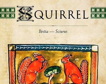 MTG Bestiary: Squirrel token (two squirrels variant)