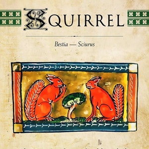 Bestiaire MTG : jeton écureuil (variante à deux écureuils)