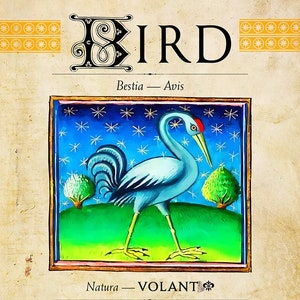 MTG Bestiary: Bird token (white)