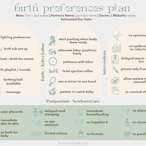 Puede incluir: Una guía ilustrada verde y blanca sobre las preferencias de parto. La guía incluye secciones para la atmósfera y la comodidad, el trabajo de parto activo temprano, las intervenciones, el posparto y el cuidado del recién nacido. La guía incluye iconos y texto para cada sección.